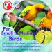 Bonka Bird Toys Colorful Shreddable Cake for Parrots, Cockatiels, African Greys and More - Buy Online on GoSupps.com