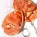 EcoTools Gentle Facial Cleansing Cloths - Antioxidant Citrus Infused, Reusable & Eco-Friendly - Pack of 2 - Buy Online on GoSupps.com
