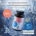 Omega 3 High Dose - 650mg Fatty Acids per Daily Dose - 120 Additive-Free Capsules | Alaskomega (MSC Certified) - Made in Germany - Buy Online on GoSupps.com