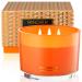 96NORTH Luxury Pumpkin Soy Candle | Large 3 Wick Jar Candle | Up to 50 Hours Burning Time | 100% Natural Soy Wax | Relaxing Aromatherapy Aesthetic Candle | Halloween Fall Candle Gift for Men and Women Pumpkin Spice