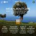 Buy APIVITA Express Beauty Face Mask - Sea Lavender & Vitamin E Moisturizing & Anti-Pollution Skincare for All Skin Types - 12 Packettes 0.27 Fl Oz - Buy Online on GoSupps.com