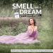 DEMETER Lilac 1 oz Cologne Spray Perfume for Women - Buy Online on GoSupps.com