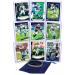 Dallas Cowboys Cards: Prescott, Elliott, Aikman, Lamb, Romo or Pollard, Emmitt Smith, Michael Gallup, Leighton Vander Esch, Irvin ASSORTED Football Stars & Legends Trading Card & Wristbands Bundle
