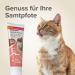 Buy Beaphar Salmon Oil Paste for Cats - Omega 3 & 6 100g | Sugar-Free DHA for Visual Support - Buy Online on GoSupps.com