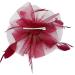 Ladies Feather Fasciantor Clip/Aliceband Hair Piece Weddings Races Royal Ascot (Burgundy) - Buy Online on GoSupps.com