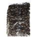 Bonnerex Chocolate Brazils 3 kg - Buy Online on GoSupps.com