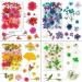 Dried Pressed Flowers 170+ Pcs - Bulk Natural Floral Fillers for Resin Crafts & Jewelry - 5 Color Set - Buy Online on GoSupps.com