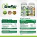 Focus + Energy Bundle | Panax Ginseng & Ginkgo Biloba Tablets + Moringa Oleifera Capsules - Non-GMO Superfood for Energy and Brain Function - Buy Online on GoSupps.com