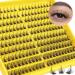 ALICE B20 DIY Lash Extension Clusters | CC Curl Individual False Eyelashes 10-16MM - Natural Look DIY Eyelash Extensions - Buy Online on GoSupps.com