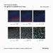 Hemway Chunky Glitter Ultra-Sparkle Black Holographic 100g - Cosmetic Safe 0.025 (0.6mm) for Crafting & DIY Projects - Buy Online on GoSupps.com