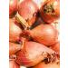 Jumbo Size Kejora Shallots Bulbs - 1/2 lb (4-6 bulbs) | USA Grown - Non-Planting - Buy Online on GoSupps.com