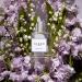 CLEAN CLASSIC Eau de Parfum Light Casual Perfume Layerable Spray Fragrance Formulated with Vegan Phthalate-Free & Paraben-Free Ingredients 1 Fl Oz (Pack of 1) Spring Breeze - Buy Online on GoSupps.com