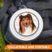 Collie Portable Silicone Dog Bowl with Carabiner - Ideal for Walks & Hikes | Lightweight & Unique Design - Buy Online on GoSupps.com