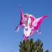 JOYIN 43.3'' Giant Unicorn Kite for Kids and Adults - Easy-to-Fly Large Beach Kite with 262.5 ft String - Perfect for Outdoor Games - Buy Online on GoSupps.com
