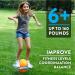 Flybar Pogo Trick Ball for Kids | Bounce Board for Ages 6+ | Up to 160 lbs | Includes Pump | Durable Plastic Deck | Blue Dawn 2 - Buy Online on GoSupps.com