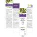 Buy Spleen Fern (Ceterach officinarum) Alcohol-Free Mother Tincture - Naturalma Liquid Extract Drops 200 ml | Vegan Dietary Supplement | International Shipping - Buy Online on GoSupps.com