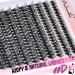 Veleasha DIY Lash Extension Kit - 228Pcs D Curl Individual & 40D Cluster Lashes for Beginners | Wispy & Fluffy Eyelash Extensions (9-16mm - Buy Online on GoSupps.com