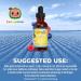 MaryRuth Organics Cocomelon Toddler Liquid Zinc | Sugar Free Organic Zinc Supplement for Ages 1-3 | Immune Support | Vegan & Non-GMO | Gluten Free | 1 Fl Oz - Buy Online on GoSupps.com