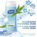 Suave Essentials Body Wash Ocean Breeze - 15 Fl Oz | Hydrating & Refreshing Clean | Buy Now for International Shipping - Buy Online on GoSupps.com