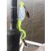 Crappie Magnet Fin Spin Kit - 8 Size 1/8 and 1/16 Jig Heads - Fishing Equipment & Accessories - Buy Online on GoSupps.com