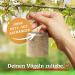 DELICIA Premium Insect Bird Balls - 6 Pack for Garden & Wild Birds | Meisen Dumplings with Hangers - High-Quality Bird Feed - Buy Online on GoSupps.com