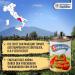 SOLANIA San Marzano Tomatoes DOP - 12x400g Canned Whole Peeled Pizza Tomatoes for Authentic Italian Cooking - Buy Online on GoSupps.com