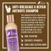 The Mane Choice Ancient Egyptian Anti-Breakage Shampoo 8 Fl Oz - Pack of 1 - Buy Online on GoSupps.com