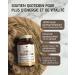 Panax Korean Red Ginseng - Extra Strong 12 500 mg - 60 Capsules - Ginseng Root Extract with 20% Ginsenosides - Vegan - Buy Online on GoSupps.com