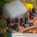 Shop 100% Pure Aromatherapy Citrus & Spice Essential Oil Set - 12 Pack with Gray Hard Shell Case | Frankincense Cinnamon Lemon & More - Buy Online on GoSupps.com