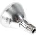Trixie 76014 HeatSpot Pro Halogen Heat Lamp - 75W 81mm Black | Optimal Pet Heating Solution - Buy Online on GoSupps.com