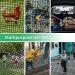 EMEKIAN Black Polyester Golf Practice Fence Net | Heavy Duty 10ft x 10ft Golf Ball Barrier Net | Portable Indoor/Outdoor Seine Net for Backyard | Adjustable Golf Batting Net - Buy Online on GoSupps.com