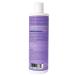 Purezero Hydrating Shampoo & Conditioner Set - Color Care for Color Treated Hair - 100% Vegan & Cruelty Free - Zero Sulfates, Parabens, Dyes - Buy Online on GoSupps.com