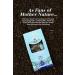 English Tea Shop Organic White Tea Blueberry & Elder Flower Loose Leaf - 15 Pyramid Tea Bags - Buy Online on GoSupps.com