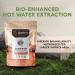 Longevity Botanicals Organic Agarikon Mushroom Powder - 100% Fruiting Body - 100g - Buy Online on GoSupps.com