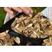 Sun Dried Porcini (Ceps) Luxury Choice - Extra Premium Quality (300) 300.0 grams - Buy Online on GoSupps.com