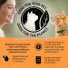 Purina Beyond Grain Free Natural Dry Cat Food - White Meat Chicken & Egg Recipe, 5 lb Bag - Buy Online on GoSupps.com