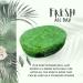 Handmade Exfoliating Soap Sponge - Perfume Fragranced, Vegan & Cruelty-Free - Vegetable Glycerin - Exfoliating Bath & Shower Sponge - Vegan Gift (Amber) - Buy Online on GoSupps.com