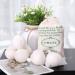 Buy XL 6-Pack Organic Wool Dryer Balls | Eco-Friendly Reusable Natural Fabric Softener - International Shipping Available - Buy Online on GoSupps.com