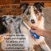Horicon Pet 3-in-1 Dematting & Deshedding Set - Ultimate Pet Grooming Tool with Undercoat Rake, Dematting Razor Comb, Detangling Pet Comb - Buy Online on GoSupps.com