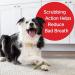 Milk-Bone Fresh Breath Brushing Chews - 25 Small/Medium Dental Dog Treats - Buy Online on GoSupps.com