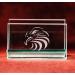 Armour Products 21-1657 Over N Over Wild Things Glass Etching Stencil 5x8 - Buy Online on GoSupps.com