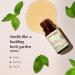 AROMAFUME Basil Essential Oil - 100% Natural Therapeutic Grade - Pure Calming Aromatherapy Oil for Diffusers - Perfect Gift for Her - 10ml - Buy Online on GoSupps.com