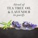 Buy Hair Food Shampoo with Tea Tree & Lavender Water - 10.1 Oz | International Shipping Available - Buy Online on GoSupps.com