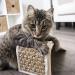Petlinks Durable Cat Scratchers - Sisal & Seagrass Construction - Multiple Styles - Scratch Ramp - One Size - Random Color - Buy Online on GoSupps.com