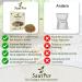 SaatPur Organic Red Lentil Sprouts - 75g Germination Seeds for Microgreens | International Shipping - Buy Online on GoSupps.com