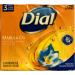 Dial Skin Care Bar with Marula Oil - Gentle Cleansing - 4 OZ Per Bar - 3 Count Bars - 4 Packages - Buy Online on GoSupps.com