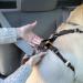 Kurgo Tru-Fit Dog Harness - Crash Tested Car Seat Belt for Small Dogs (2-5 kg) - Size S - Purple - Buy Online on GoSupps.com