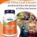 Now Foods Olive Leaf Extract 500mg High Oleuropein Vegan Capsules | Lab-Tested, Soy Free, Gluten Free, Non-GMO - Buy Online on GoSupps.com