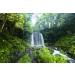 Rock Water n 27 Fleur de Bach farmaflor 1 Flacon Comtpe Gouttes 10ml - Made in Italy - Buy Online on GoSupps.com