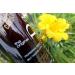 Fair to Medium Skin Self Tanner: Streak-Free Sunless Tanning Lotion - 8 fl oz - Buy Online on GoSupps.com